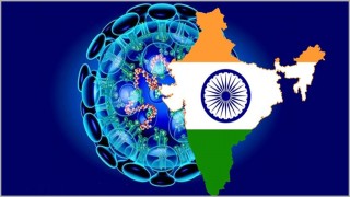 করোনাভাইরাস: ভারতে মৃত্যু ছাড়াল ৫০ হাজার করোনাভাইরাস: ভারতে মৃত্যু ছাড়াল ৫০ হাজার